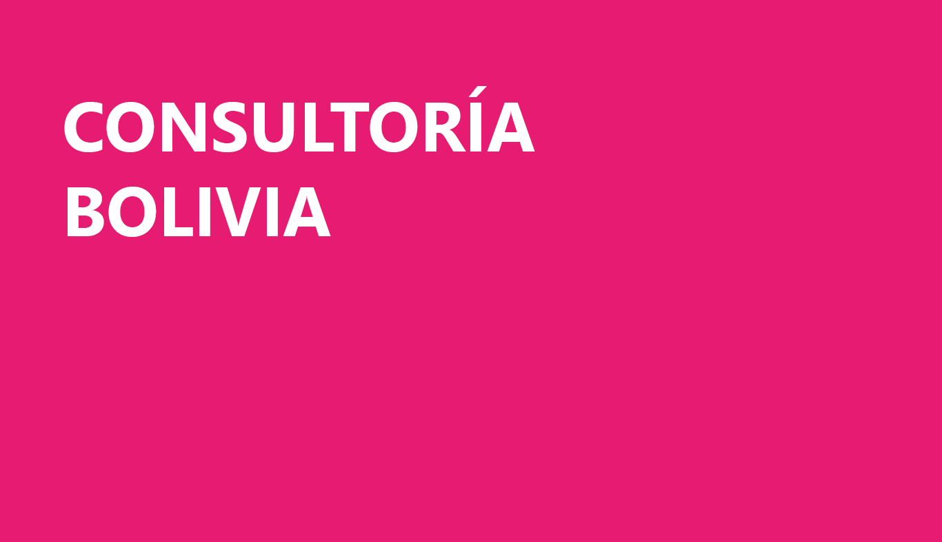 base-consultoria-bolivia