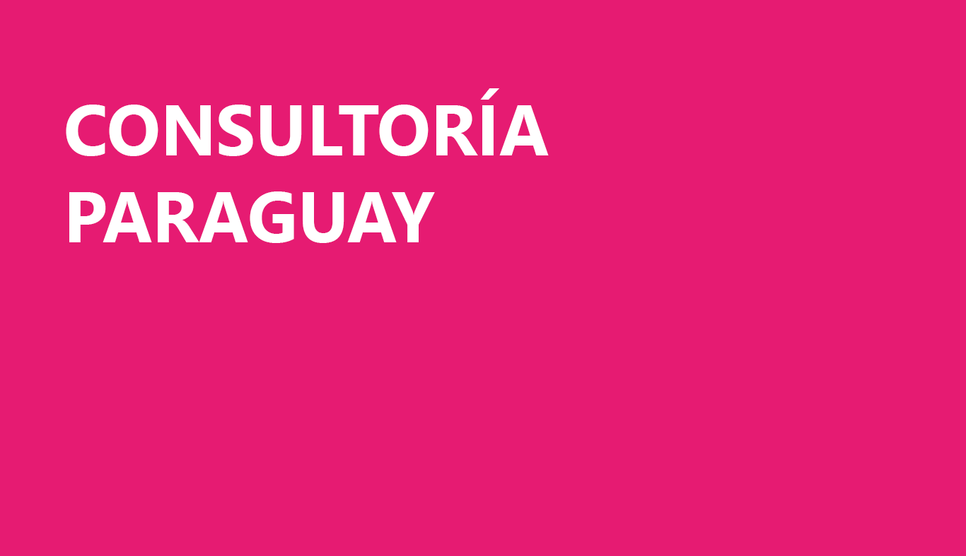 base-consultorias-paraguay