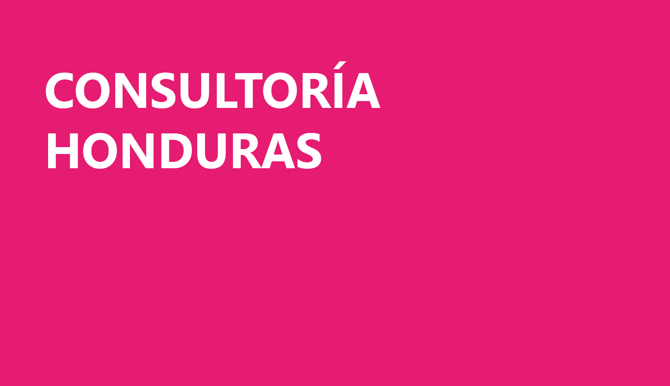base-consultorias-honduras