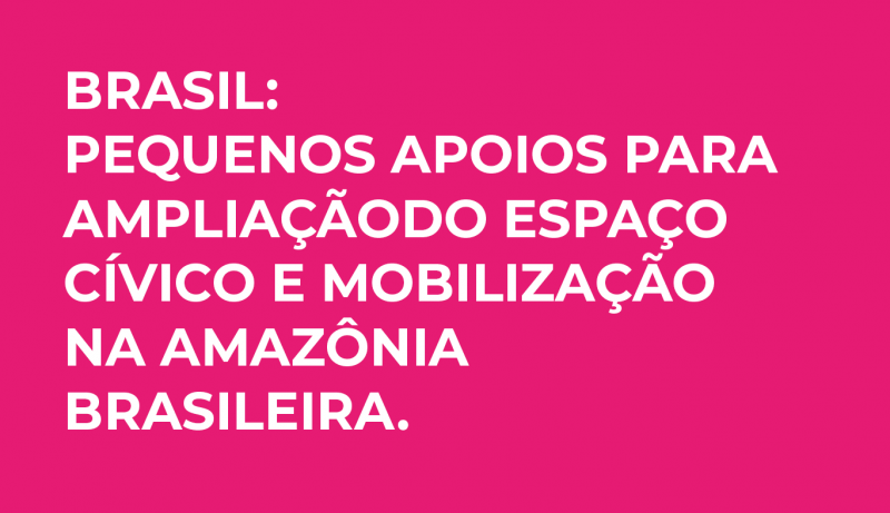 Brasil: Pequenos apoios para ampliação do espaço cívico e mobilização ...