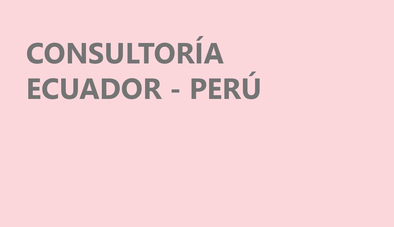 CONSULTORIAS ECUADOR PERU