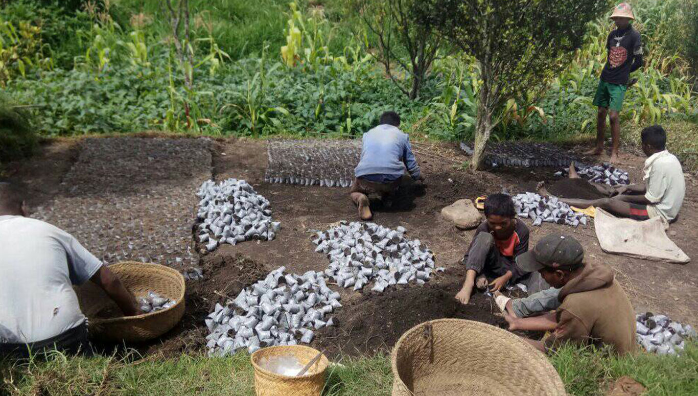 Nursery-(1)