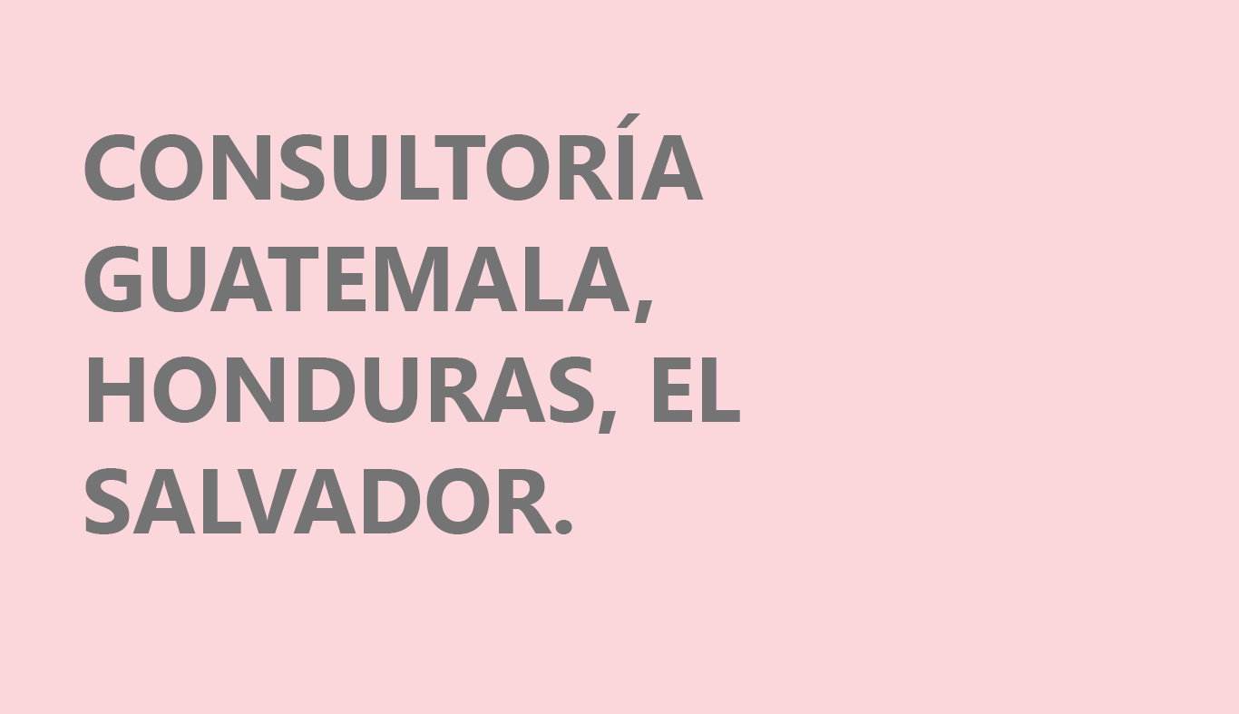 CONSULTORIAS GUATE HOND SALV