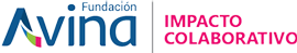Fundación Avina Logo