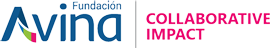 Fundación Avina Logo