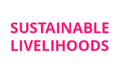  SUSTAINABLE LIVELIHOODS