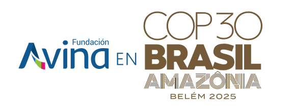 AvinaEn_COP29_ESP2