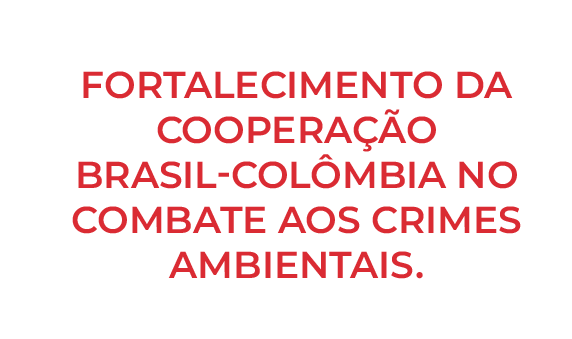 Fortalecimento-da-Cooperação-Brasil-Colômbia-no-Combate-aos-Crimes-Ambientais REDES CHACO