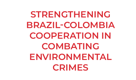 Strengthening-Brazil-Colombia-Cooperation-in-Combating-Environmental-Crimes REDES CHACO